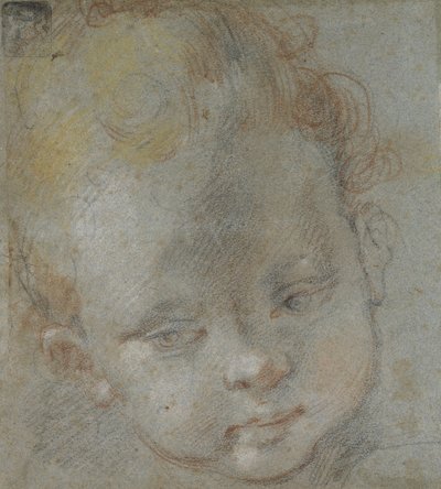 Recto：子供の頭（青灰色の紙に黒、赤、白、ピンク、黄色のチョーク） 作： Federico Barocci