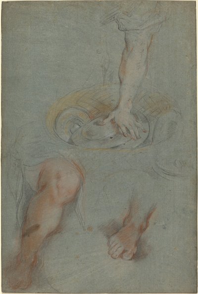 「最後の晩餐」における使用人の習作 作： Federico Barocci