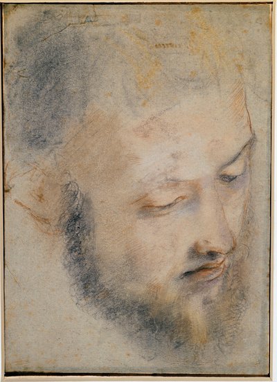 バロッシによる頭の描画の研究 作： Federico Barocci