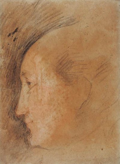 左の横顔の女性の頭 作： Federico Barocci