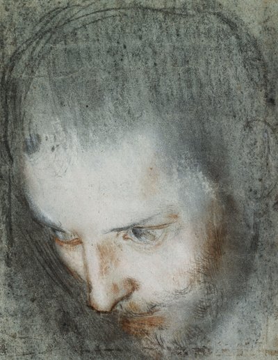 左上向きの聖フランシスの頭、 作： Federico Fiori Barocci or Baroccio