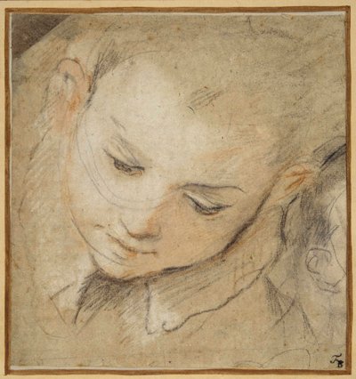 下を向いている少年の頭 作： Federico Fiori Barocci or Baroccio