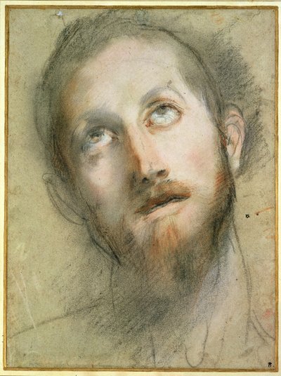 キリストの頭のための研究（黒チョーク 作： Federico Fiori Barocci or Baroccio