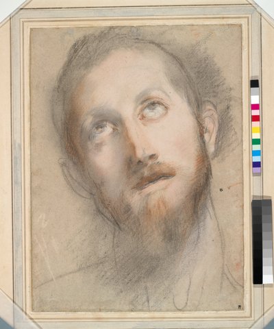 キリストの頭のための勉強（紙に色のついたチョークとパステル） 作： Federico Fiori Barocci or Baroccio