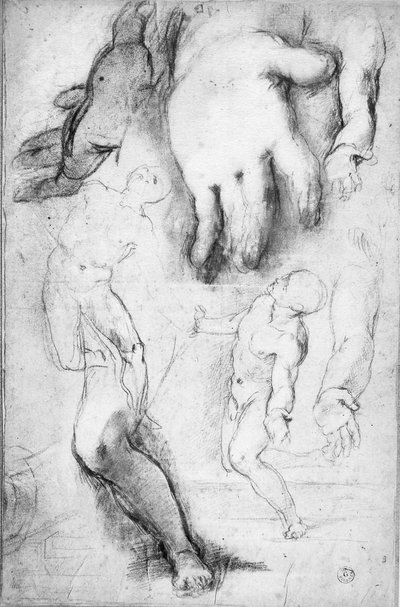 聖フランシスの姿の研究（紙にチョーク） 作： Federico Fiori Barocci or Baroccio
