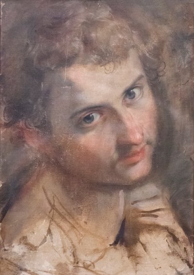 聖ユダの頭の研究 作： Federico Fiori Barocci or Baroccio