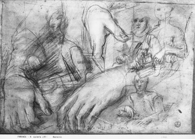 Ippolito della Rovereの肖像画のための手の研究（紙に黒、赤、白のチョーク） 作： Federico Fiori Barocci or Baroccio