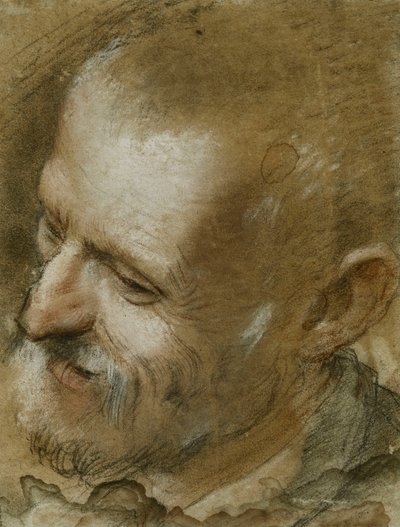 左を向いたひげを生やした男性の頭の研究、1590 作： Federico Fiori Barocci or Baroccio