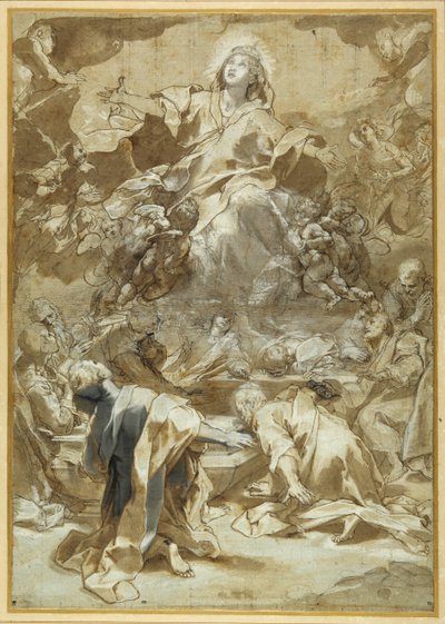 聖母被昇天」（ペン＆ブラウンインク、ブラウン＆グレーウォッシュ 作： Federico Fiori Barocci or Baroccio