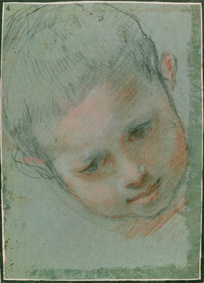 少年の頭、c.1586-89黒、赤、白、肌色のチョーク） 作： Federico Fiori Barocci or Baroccio