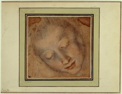 しっかりとした目を持つ女性の頭部 ル・バロッシュ（1526-1613）と呼ばれるフェデリコ・バロッチによる、血と木炭で描かれた作品。パリ、ルーヴル美術館 作： Federico Fiori Barocci or Baroccio