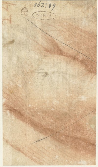 腕の一部 作： Federico Zuccaro