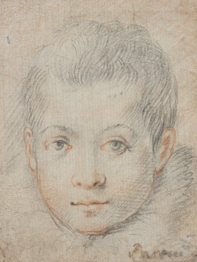 少年の頭 作： Federico Zuccaro