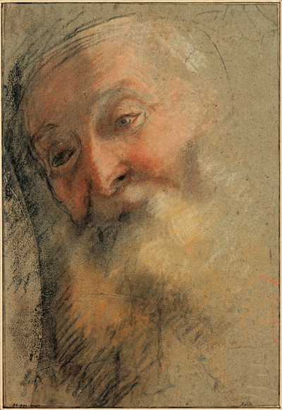 ひげを生やした老人の頭、1584-1586 作： Federigo Barocci