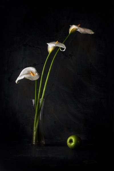  作： Felice Angelino