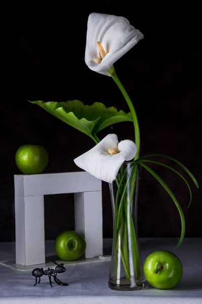  作： Felice Angelino