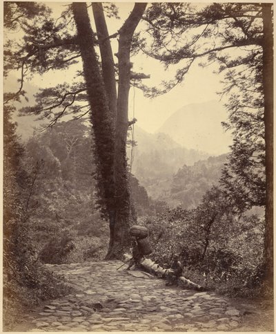 箱根峠の眺め 作： Felice Beato