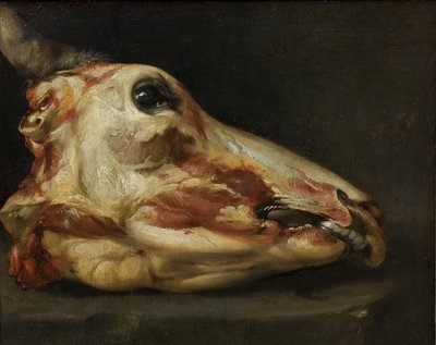 若い雄牛の皮を剥がれた頭、1690年頃（キャンバスに油彩） 作： Felice Boselli