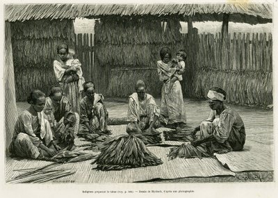 タバコを作る先住民たち。アルフレッド・マルシェ（1844-1898）の「Lucon and Palaouan, six years in the Philippines」（エドゥアール・シャルトン（1807-1890）監督の「le tour du monde 1886」に収録）を説明するためにミルバッハが描いたエングレーヴィング。 作： Felicien baron de Myrbach Rheinfeld