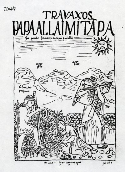 6月、ジャガイモの収穫 作： Felipe Huaman Poma de Ayala