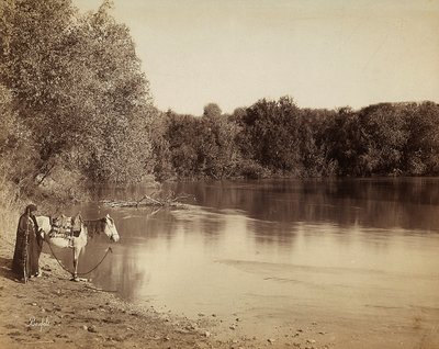 エジプトの湖の前で、馬を連れた民族衣装の男性 作： Félix Bonfils