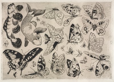 ディナーサービス（ルソーサービス）：蝶と魚（16番） 作： Felix Bracquemond