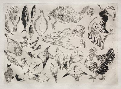 ディナーサービス（ルソーサービス）：アヒル、魚など（12番） 作： Felix Bracquemond