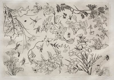 ディナーサービス（ルソーサービス）：花（22番） 作： Felix Bracquemond