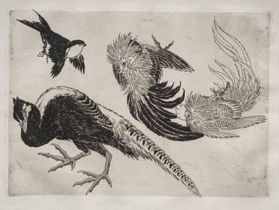 ディナーサービス（ルソーサービス）：キジと鳥（18番） 作： Felix Bracquemond