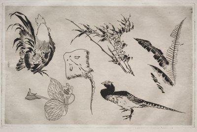 ディナーサービス（ルソーサービス）：おんどり、スケート、植物など（9番） 作： Felix Bracquemond