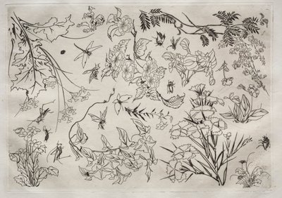 ディナーサービスルソーサービス：花なし。 22、1866。 作： Felix Bracquemond