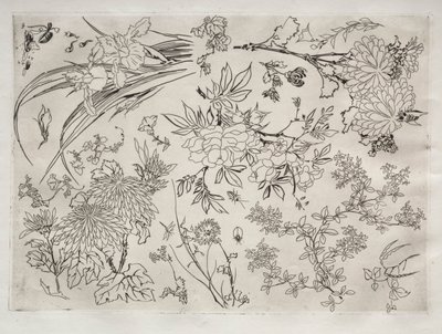 ディナーサービスルソーサービス：花なし。 23、1866。 作： Felix Bracquemond