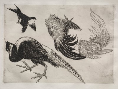 ディナーサービスルソーサービス：キジと鳥no。 1 8866年。 作： Felix Bracquemond
