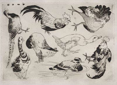 ディナーサービスルソーサービス：オンドリ、アヒルなど。 1866年。 作： Felix Bracquemond
