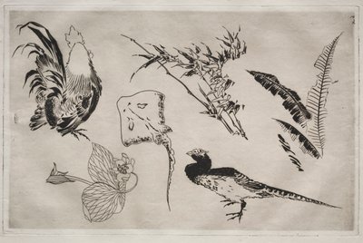 ディナーサービスルソーサービス：鶏、スケート、植物など。 1866年。 作： Felix Bracquemond