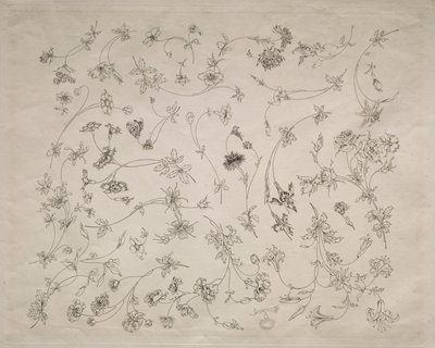 プレートとボーダーのための花のデザイン（No.14） 作： Felix Bracquemond