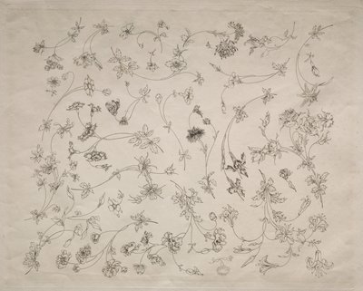 プレートとボーダーのフラワーデザイン1872年14日。 作： Felix Bracquemond