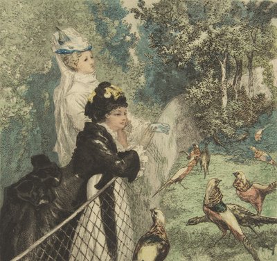動物園では、カリフォルニア州。 1873年。 作： Felix Bracquemond