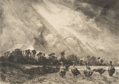 嵐の雲、1882-84。 作： Felix Bracquemond