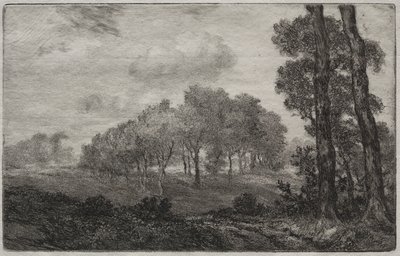 風景、フランス語の後 作： Felix Bracquemond