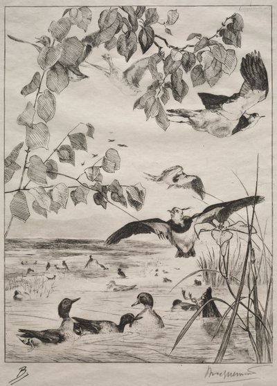 Lapwings and Teals、1862。 作： Felix Bracquemond