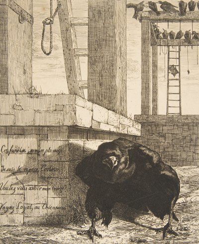 レイヴン、1859年。 作： Felix Bracquemond