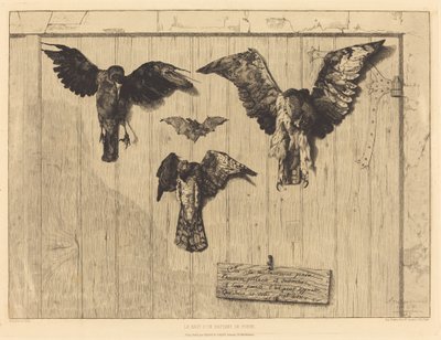 ドアの葉の上部 (Birds Nailed to a Barn Door) 作： Felix Bracquemond