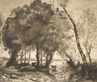 湖、1861年。 作： Felix Bracquemond
