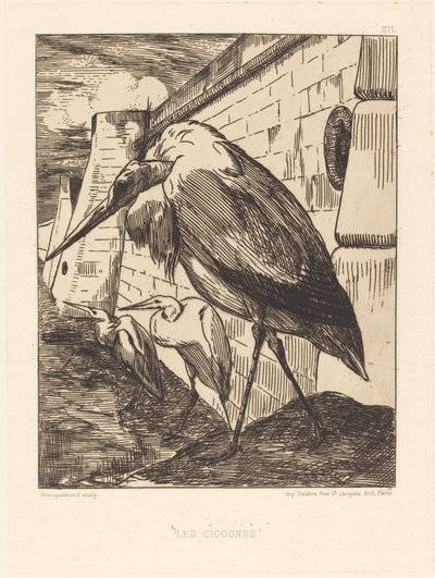 Les Cigognes (コウノトリ) 作： Felix Bracquemond