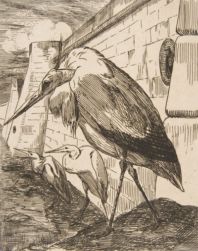 コウノトリ、1870 年代、1870 年代。 作： Felix Bracquemond