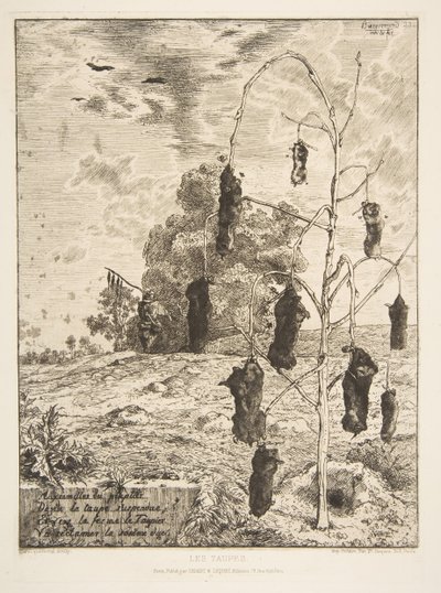 モル、1854。 作： Felix Bracquemond