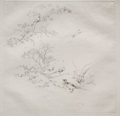 Parisian Service (ハビランド サービス): Fog (1 番) 作： Felix Bracquemond