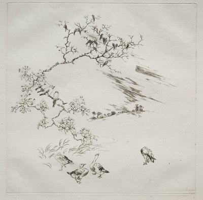 Parisian Service (Haviland service): 夜 (no. 7) 作： Felix Bracquemond