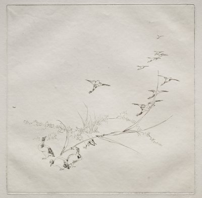 Parisian Service (Haviland service): 太陽の下 (no. 9) 作： Felix Bracquemond